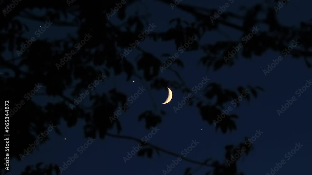 Crescent Moon, stars, planets and landscape scenery silhouettes.
Crescent Moon, stars, planets and landscape scenery silhouettes.