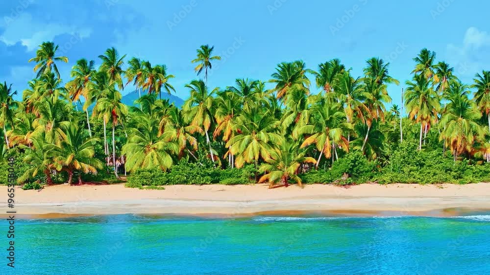 Summer landscape of natural wild Dominican beach with green palm trees. Vibrant tropical trees on the Caribbean coast. Sunny summer day on an island in the ocean. Untouched beach for honeymoon. Summer landscape of natural wild Dominican beach with green palm trees. Vibrant tropical trees on the Caribbean coast. Sunny summer day on an island in the ocean. Untouched beach for honeymoon.