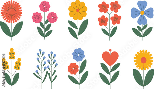 collection Set of beautiful blooming wild flowers from the garden botanical