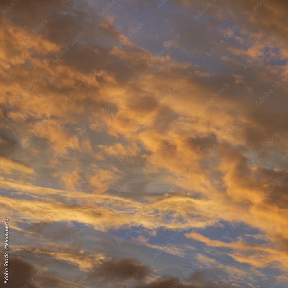 Fototapeta premium 夕焼けの青空とオレンジの雲