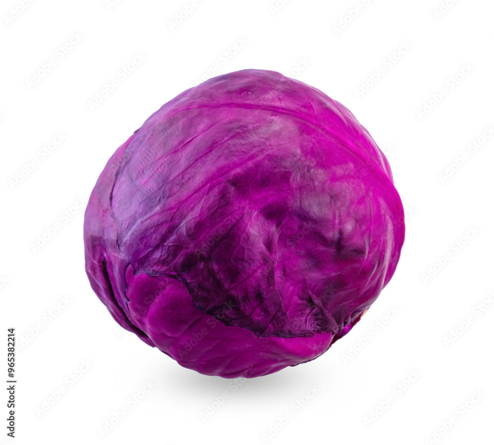 Purple cabbage isolated on white background Purple cabbage isolated on white background