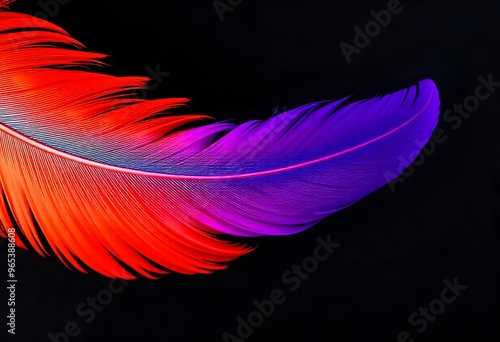 Close-up of a feather, showcasing its intricate textures and colors.