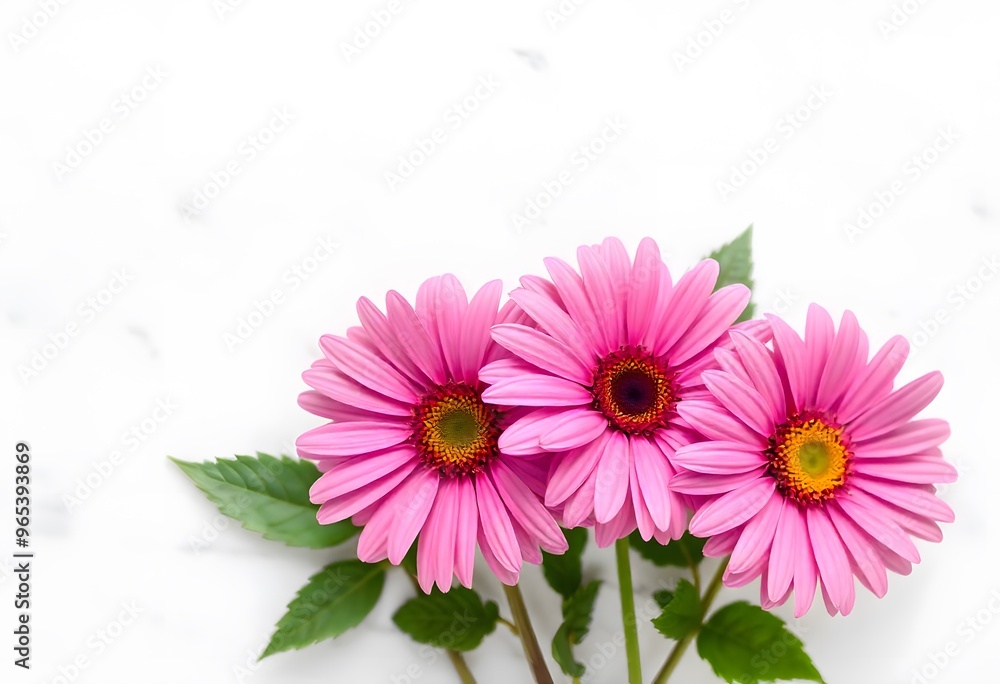 Bouquet of pink daisies with green leaves, arranged on a white marble surface. Bouquet of pink daisies with green leaves, arranged on a white marble surface.