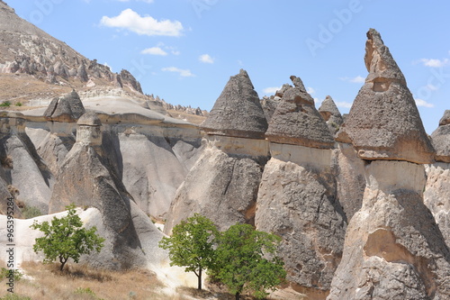 Rock formations (Fairy Chimneys) in Pasabag Valley called the Valley of the Priests near Göreme, Cappadocia, Turkey