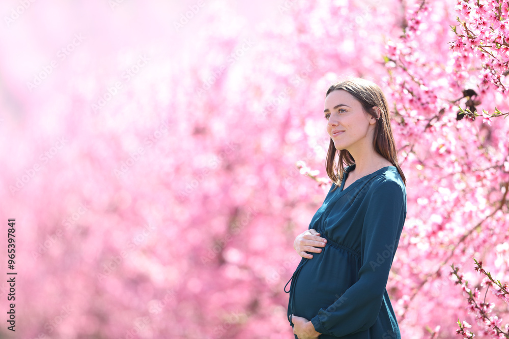 Pregnant woman contemplating in a pink field Pregnant woman contemplating in a pink field
