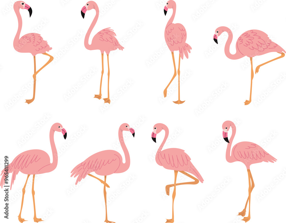 Obraz premium collection of pink flamingos on white background vector