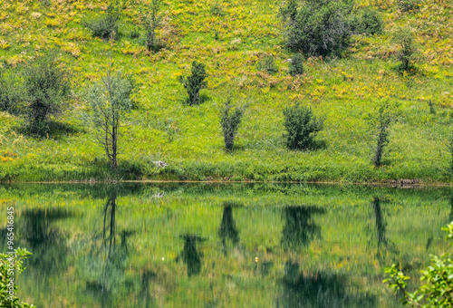 Wild nature in the Sary Chelek area in Rural Kyrgysztan photo