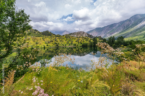 Wild nature in the Sary Chelek area in Rural Kyrgysztan photo