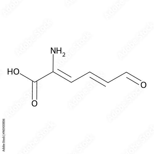 2-amino-6-keto-hexa-2,4-dienoic acid