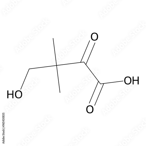 4-hydroxy-2-keto-3,3-dimethyl-butyric acid