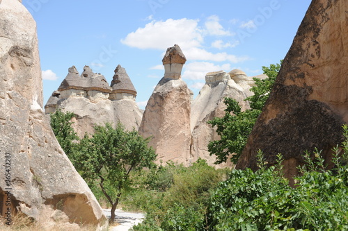 Rock formations (Fairy Chimneys) in Pasabag Valley called the Valley of the Priests near Göreme, Cappadocia, Turkey (Pasabalari Müze ve Örenyeri)