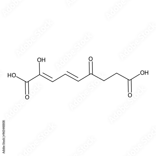 2-hydroxy-6-keto-nona-2,4-dienedioic acid