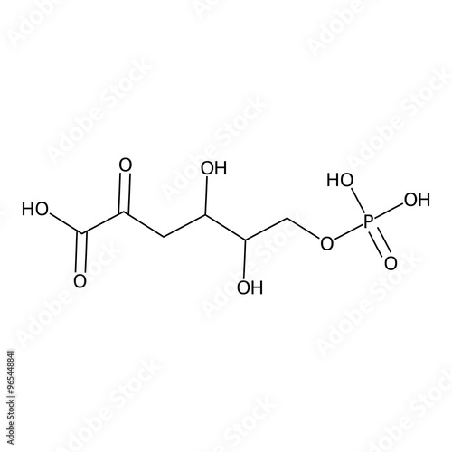 4,5-dihydroxy-2-keto-6-phosphonooxy-hexanoic acid