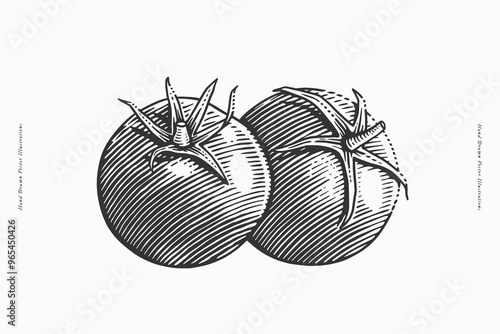 A detailed black and white hand-drawn illustration of a tomato in engraving style. Perfect for culinary art, recipes, food packaging, and botanical designs.