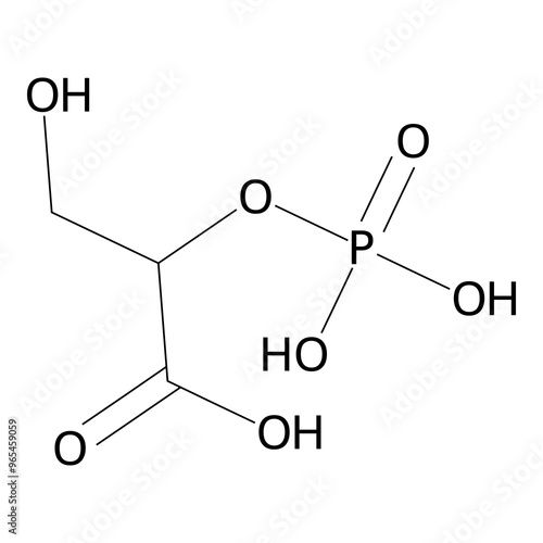 3-hydroxy-2-phosphonooxy-propionic acid