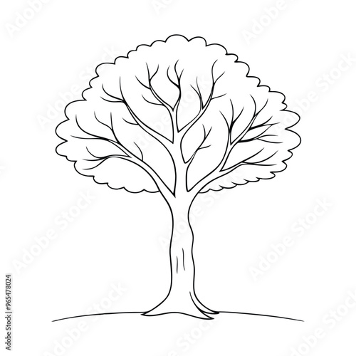 Aspen tree Hand drawn continuous line art flat vector illustration on white background.