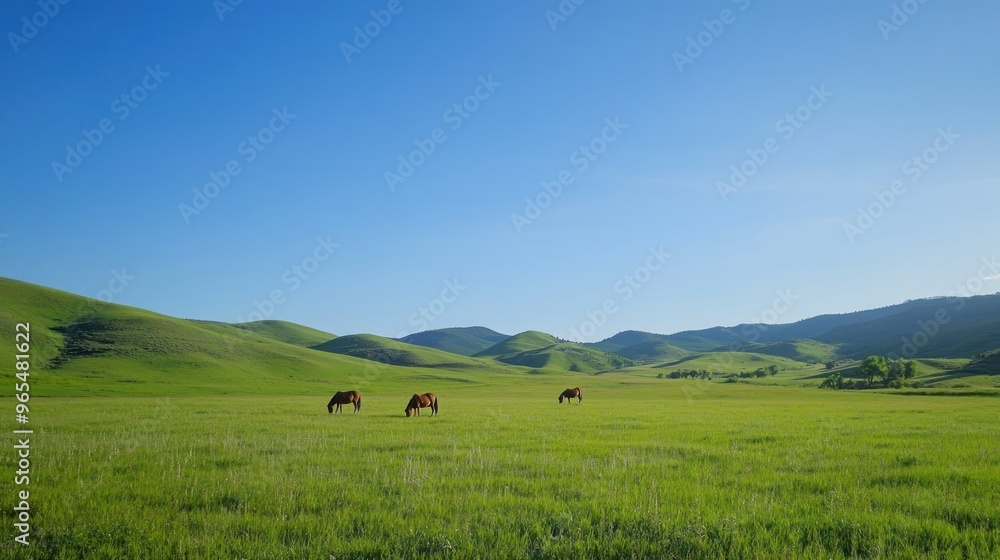 Horses Grazing in a Lush Green Meadow Horses Grazing in a Lush Green Meadow