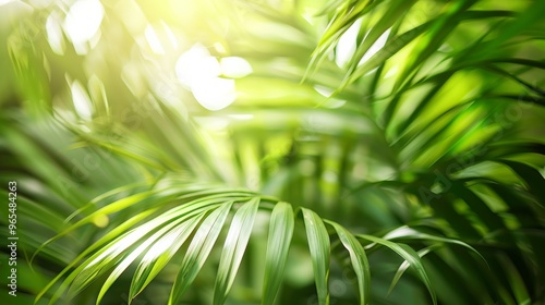 Brightly lit palm leaves with soft shadows on neutral background