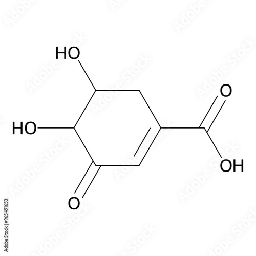 4,5-dihydroxy-3-keto-cyclohexene-1-carboxylic acid