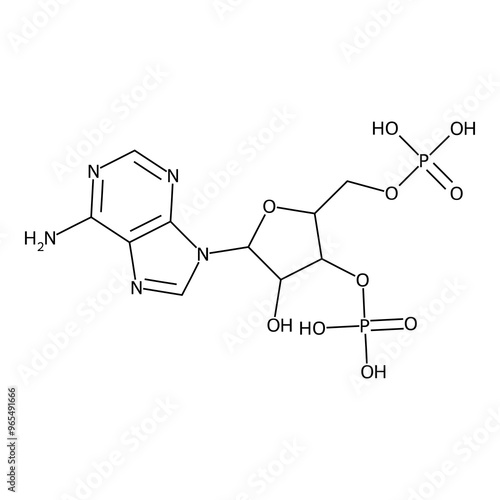 [5-adenin-9-yl-4-hydroxy-2-(phosphonooxymethyl)tetrahydrofuran-3-yl] dihydrogen phosphate