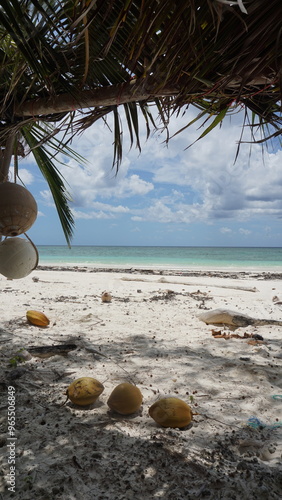 Island life Australia photo