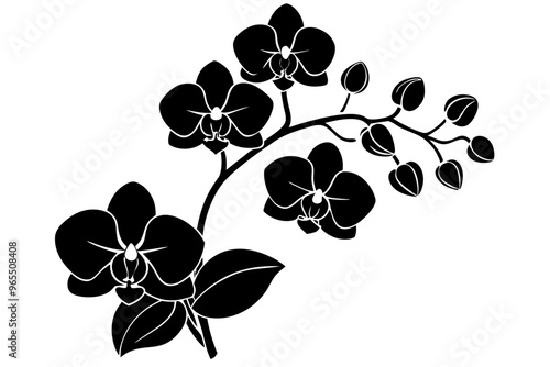 An orchid branch with flowers, unopened buds, and a stem vector art silhouette illuatration