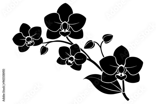 An orchid branch with flowers, unopened buds, and a stem vector art silhouette illuatration
