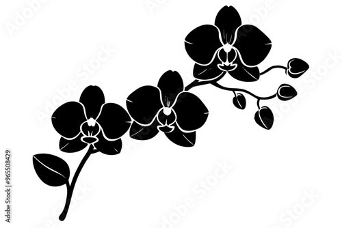 An orchid branch with flowers, unopened buds, and a stem vector art silhouette illuatration