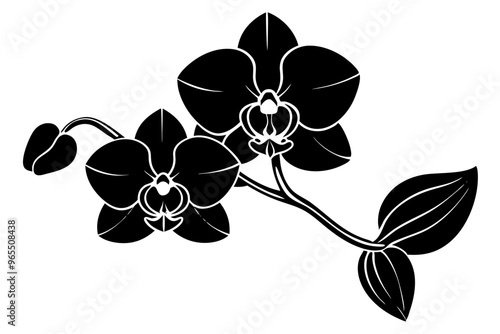 An orchid branch with flowers, unopened buds, and a stem vector art silhouette illuatration