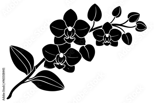 An orchid branch with flowers, unopened buds, and a stem vector art silhouette illuatration