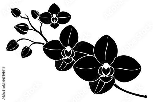An orchid branch with flowers, unopened buds, and a stem vector art silhouette illuatration