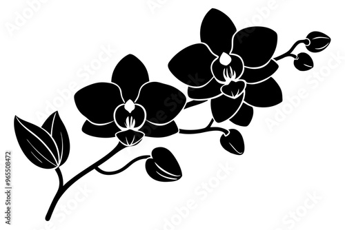 An orchid branch with flowers, unopened buds, and a stem vector art silhouette illuatration