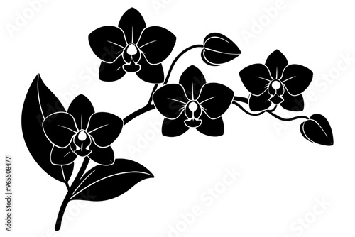 An orchid branch with flowers, unopened buds, and a stem vector art silhouette illuatration
