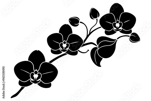 An orchid branch with flowers, unopened buds, and a stem vector art silhouette illuatration