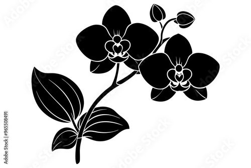 An orchid branch with flowers, unopened buds, and a stem vector art silhouette illuatration