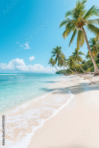 A photo of palm trees on a beach