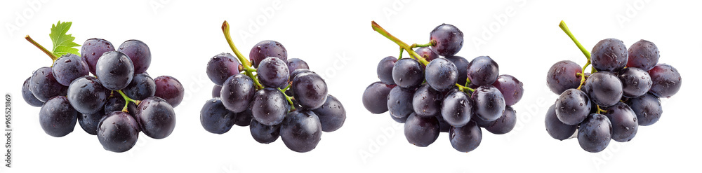 set of grapes are shown in a row, with the stems visible on transparent background PNG set of grapes are shown in a row, with the stems visible on transparent background PNG