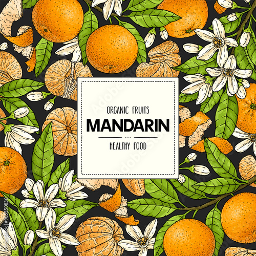Mandarin or tangerine hand drawn background. Organic citrus plant drawing with unpeeled whole mandarin, slices, halves and branch. Template for food product label. Botanical sketch illustration