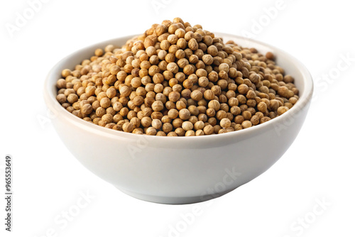 Coriander Seeds in White Bowl Fresh and Pure