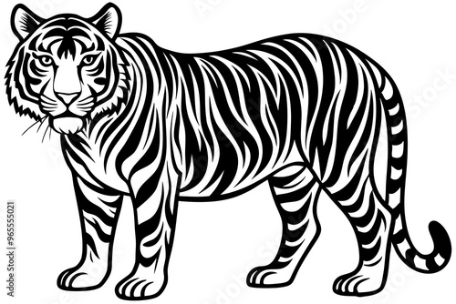 tiger illustration,tiger animal, tiger vector silhouette