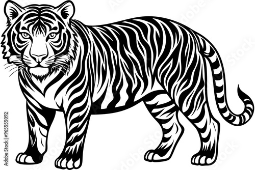 tiger illustration,tiger animal, tiger vector silhouette