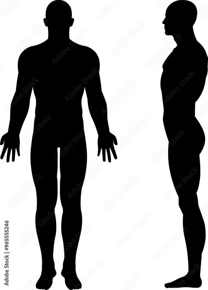 Front and side view of human silhouette. Front and side view of human silhouette.