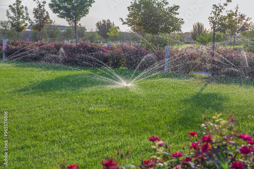 irrigation sistem sprays water onto the lawn area