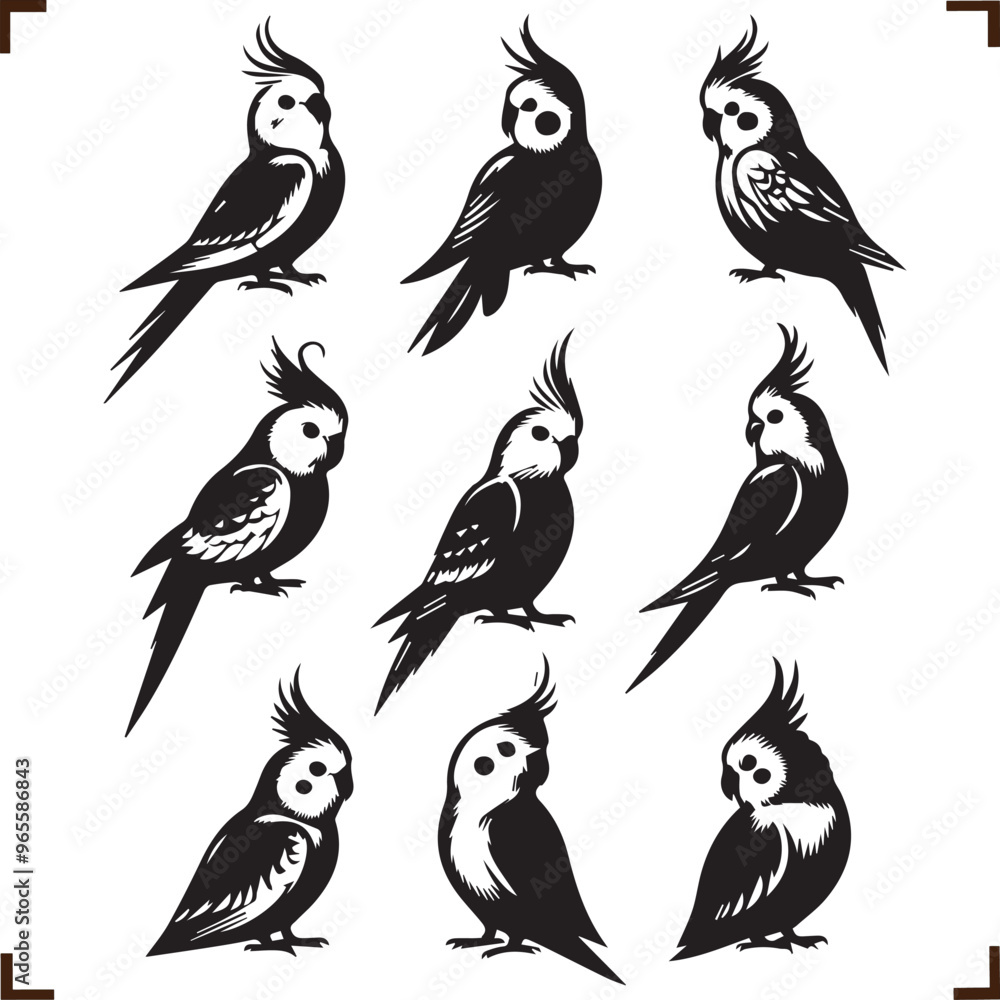Cockatiel Elegant Silhouette Vector Illustrations Cockatiel Elegant Silhouette Vector Illustrations