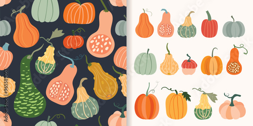 Autumn pumpkins set with seamless pattern and a collection with different colorful pumpkins