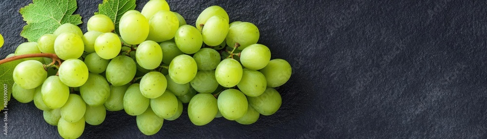 Juicy fresh grapes on a vine, plump and ready to eat, natural and organic presentation Juicy fresh grapes on a vine, plump and ready to eat, natural and organic presentation