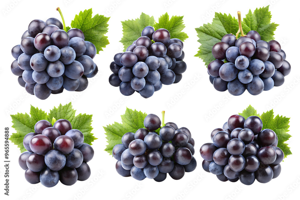 Clusters of black grapes isolated on a transparent background PNG Clusters of black grapes isolated on a transparent background PNG