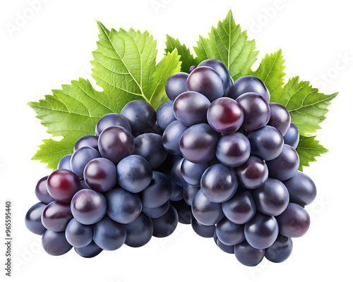 Clusters of black grapes isolated on a transparent background PNG