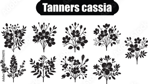 Tanners Cassia Artistic Silhouette Elements in Black