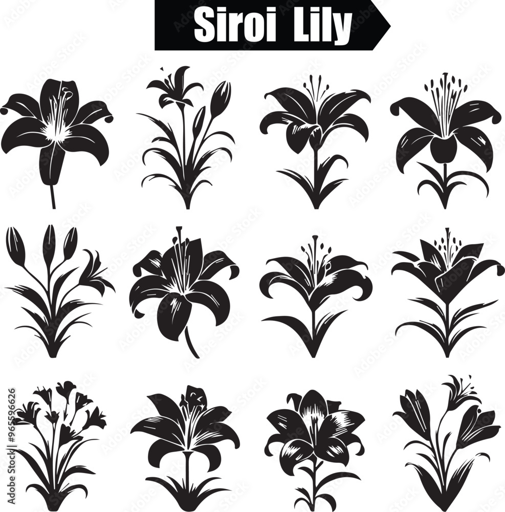 Siroi Lily Abstract Silhouette Vector Graphics Pack Siroi Lily Abstract Silhouette Vector Graphics Pack